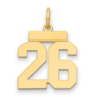 14k Yellow Gold Small Polished Number 26 Charm LS26
