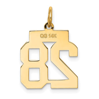14k Yellow Gold Small Polished Number 28 Charm LS28