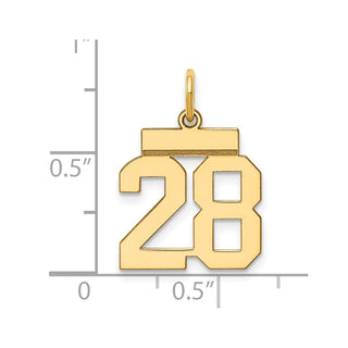 14k Yellow Gold Small Polished Number 28 Charm LS28