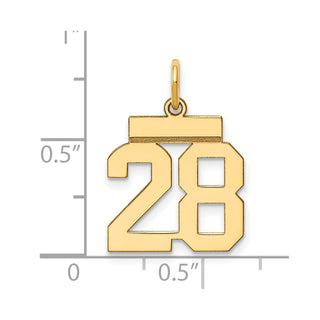 14k Yellow Gold Small Polished Number 28 Charm LS28