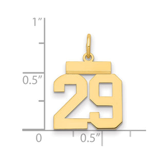 14k Yellow Gold Small Polished Number 29 Charm LS29