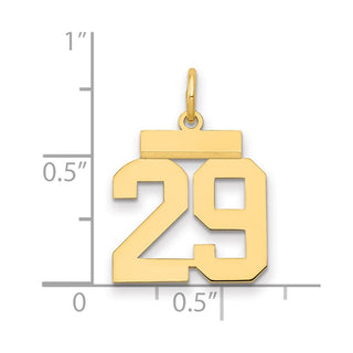 14k Yellow Gold Small Polished Number 29 Charm LS29