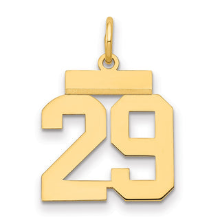 14k Yellow Gold Small Polished Number 29 Charm LS29