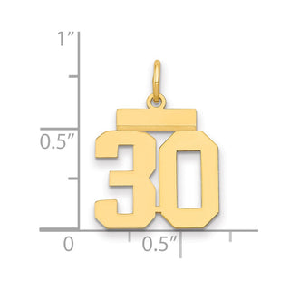 14k Yellow Gold Small Polished Number 30 Charm LS30