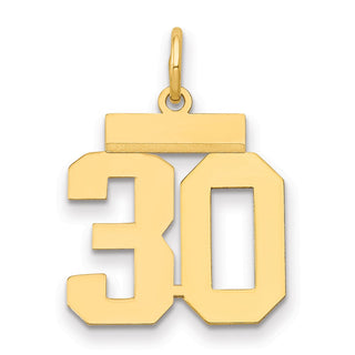 14k Yellow Gold Small Polished Number 30 Charm LS30