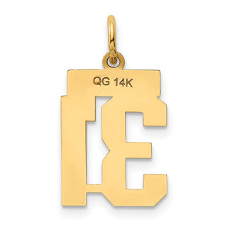 14k Yellow Gold Small Polished Number 31 Charm LS31