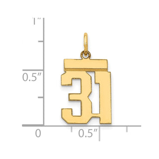 14k Yellow Gold Small Polished Number 31 Charm LS31