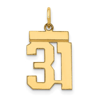 14k Yellow Gold Small Polished Number 31 Charm LS31