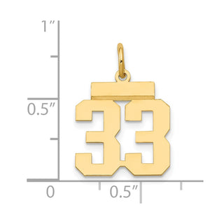 14k Yellow Gold Small Polished Number 33 Charm LS33