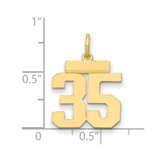 14k Yellow Gold Small Polished Number 35 Charm LS35