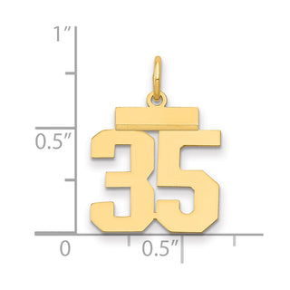 14k Yellow Gold Small Polished Number 35 Charm LS35