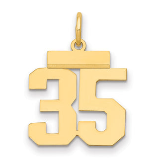 14k Yellow Gold Small Polished Number 35 Charm LS35