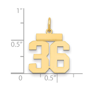14k Yellow Gold Small Polished Number 36 Charm LS36