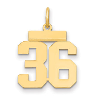 14k Yellow Gold Small Polished Number 36 Charm LS36