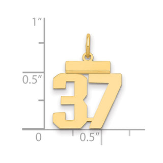 14k Yellow Gold Small Polished Number 37 Charm LS37