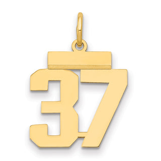 14k Yellow Gold Small Polished Number 37 Charm LS37