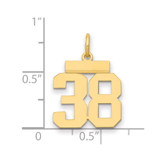14k Yellow Gold Small Polished Number 38 Charm LS38