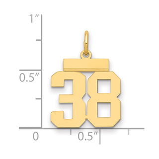 14k Yellow Gold Small Polished Number 38 Charm LS38