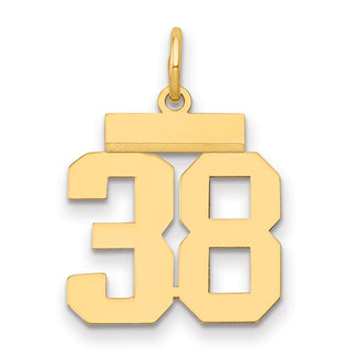 14k Yellow Gold Small Polished Number 38 Charm LS38