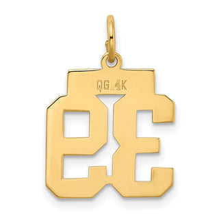 14k Yellow Gold Small Polished Number 39 Charm LS39