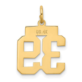 14k Yellow Gold Small Polished Number 39 Charm LS39
