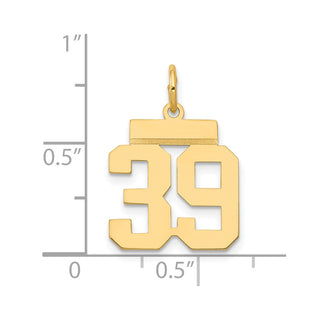 14k Yellow Gold Small Polished Number 39 Charm LS39