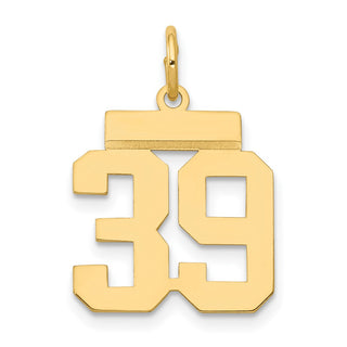 14k Yellow Gold Small Polished Number 39 Charm LS39