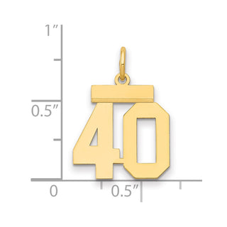 14k Yellow Gold Small Polished Number 40 Charm LS40