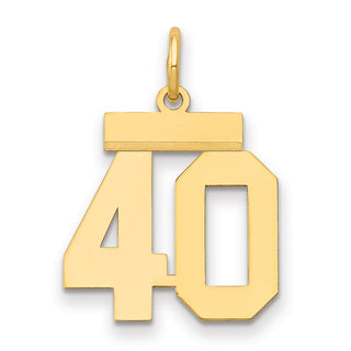 14k Yellow Gold Small Polished Number 40 Charm LS40