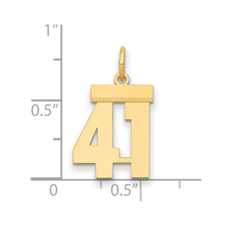 14k Yellow Gold Small Polished Number 41 Charm LS41