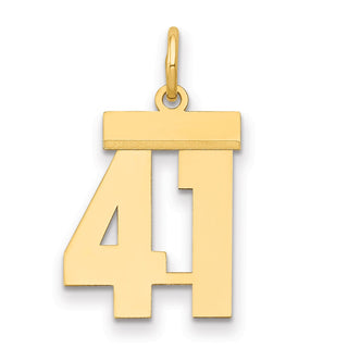 14k Yellow Gold Small Polished Number 41 Charm LS41