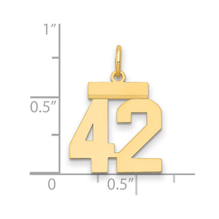14k Yellow Gold Small Polished Number 42 Charm LS42
