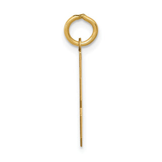 14k Yellow Gold Small Polished Number 43 Charm LS43