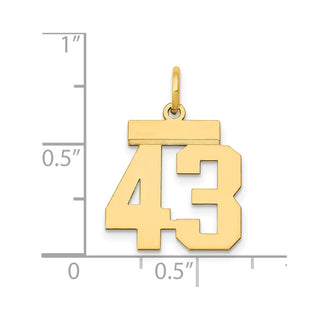 14k Yellow Gold Small Polished Number 43 Charm LS43