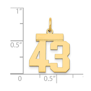 14k Yellow Gold Small Polished Number 43 Charm LS43