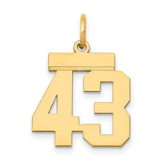 14k Yellow Gold Small Polished Number 43 Charm LS43