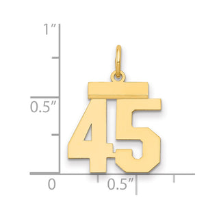 14k Yellow Gold Small Polished Number 45 Charm LS45