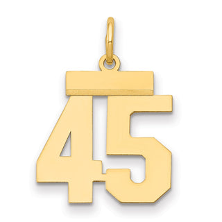 14k Yellow Gold Small Polished Number 45 Charm LS45
