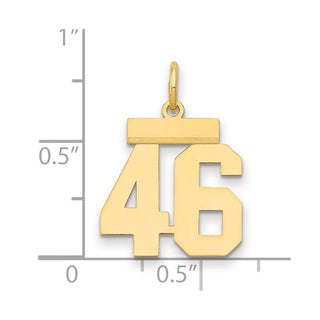 14k Yellow Gold Small Polished Number 46 Charm LS46