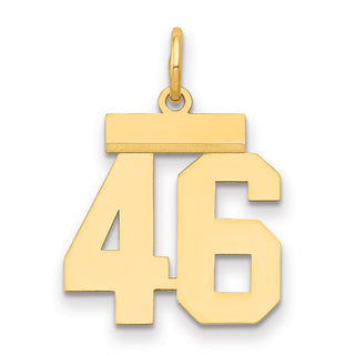 14k Yellow Gold Small Polished Number 46 Charm LS46
