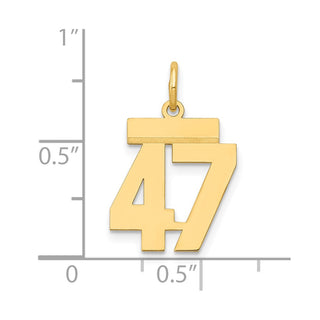 14k Yellow Gold Small Polished Number 47 Charm LS47