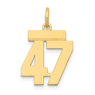 14k Yellow Gold Small Polished Number 47 Charm LS47