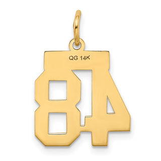 14k Yellow Gold Small Polished Number 48 Charm LS48