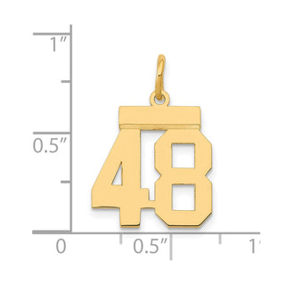 14k Yellow Gold Small Polished Number 48 Charm LS48