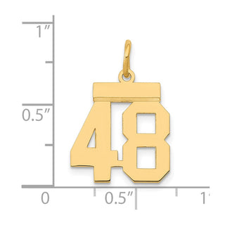 14k Yellow Gold Small Polished Number 48 Charm LS48