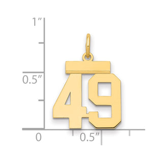 14k Yellow Gold Small Polished Number 49 Charm LS49