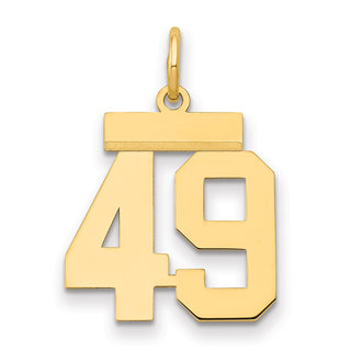 14k Yellow Gold Small Polished Number 49 Charm LS49