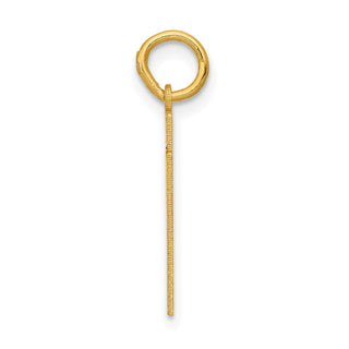 14k Yellow Gold Small Polished Number 51 Charm LS51