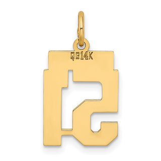 14k Yellow Gold Small Polished Number 51 Charm LS51