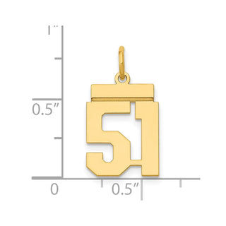 14k Yellow Gold Small Polished Number 51 Charm LS51